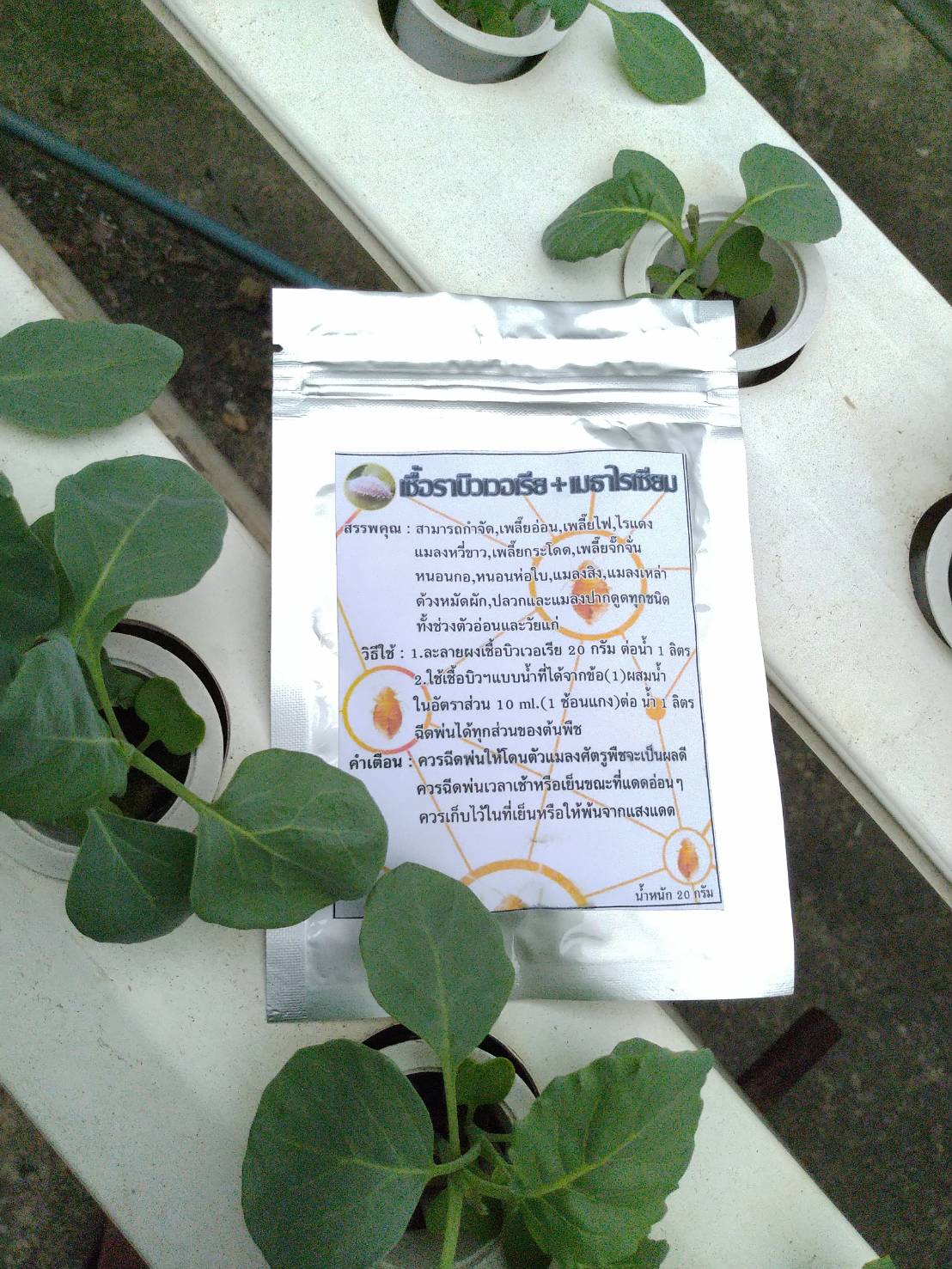 เชื้อราบิวเวอร์เรีย+เมธาไรเซียม แบบผง 20 กรัม ผสมน้ำได้ 1 ลิตร