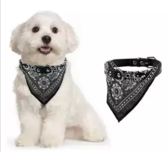 ปลอกคอหนังผ้า สำหรับน้องหมาและน้องเหมียว ขนาด M ราคา 69 บาท ......................................... 📮มีบริการส่งสินค้าทางKerry แบบเก็บเงินปลายทางด้วยนะคะ รอติดตามข่าวสารและโปรโมชั่นร้านได้ตลอดนะคะ ติดต่อสอบถามได้ตลอดที่ 📲085-6317683 Line