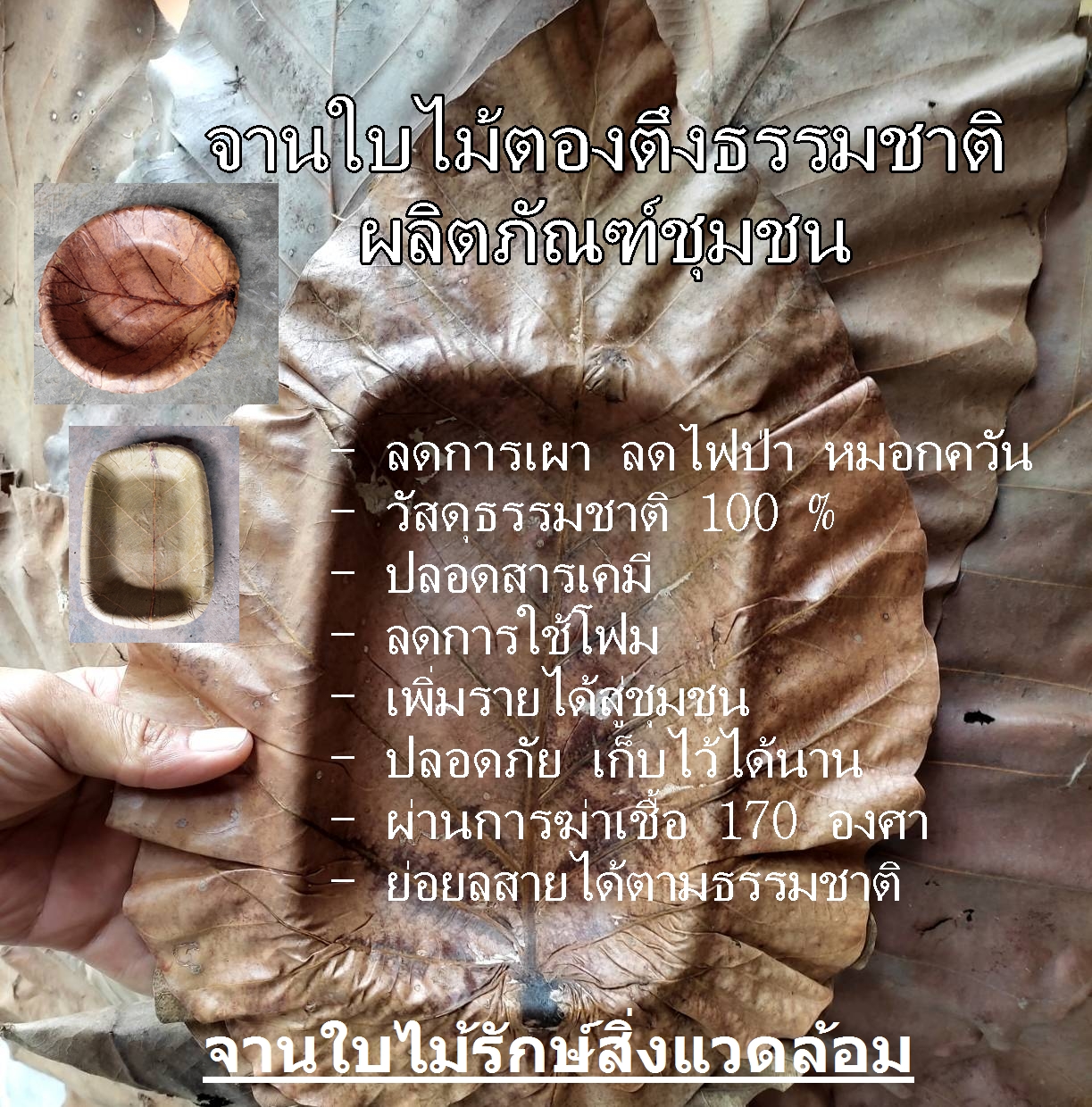 จานใบไม้สี่เหลี่ยม กว้าง 14 ซม. ยาว 21 ซม. แพค 20 ใบ จานใบไม้ตองตึงธรรมชาติ จานใบไม้ธรรมชาติ จานใบตอง จานธรรมชาติ