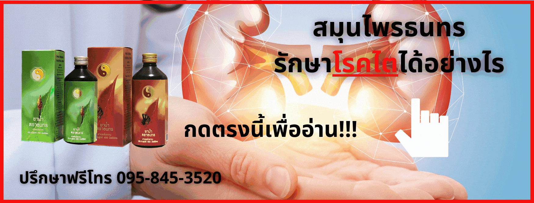 สมุนไพรธนทรรักษาโรคไตไม่ต้องฟอก