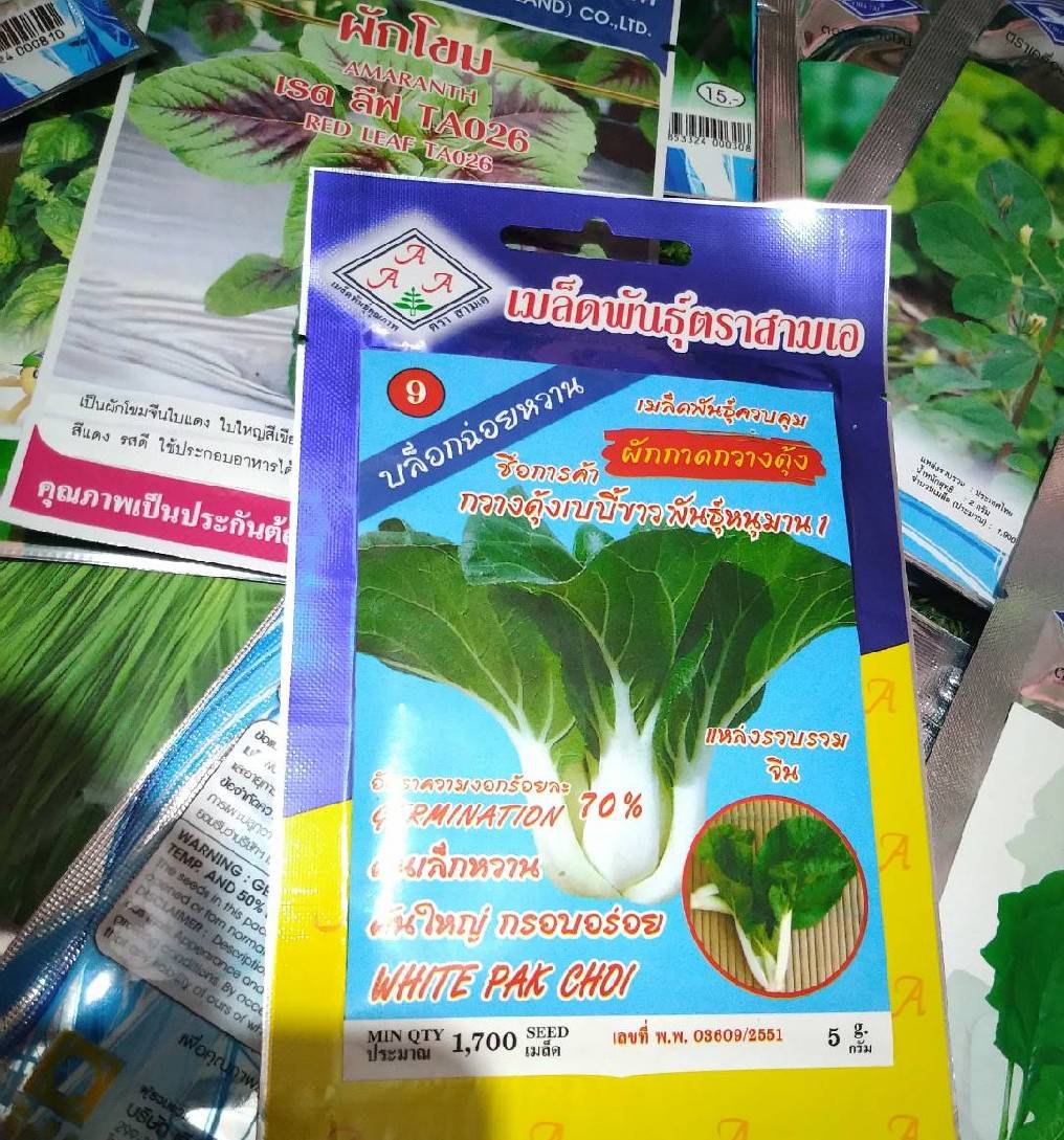 กวางตุ้งเบบี้ฮ่องเต้ต้นขาว สามเอ