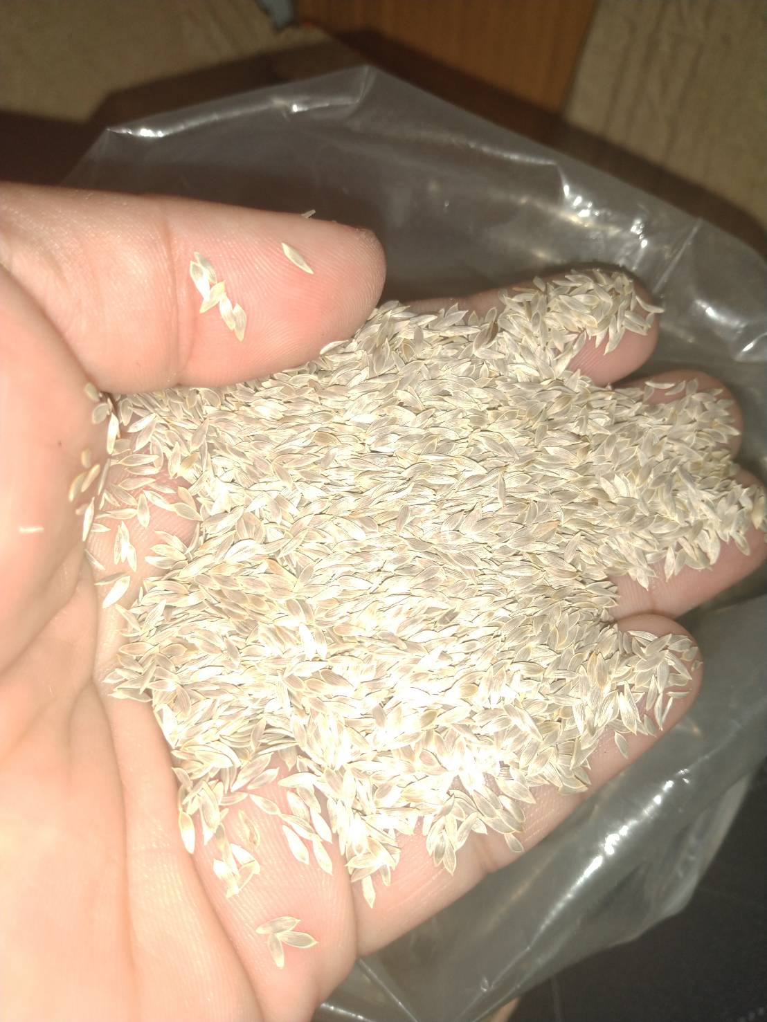 green babycos 100 pills(ไม่เคลือบ)