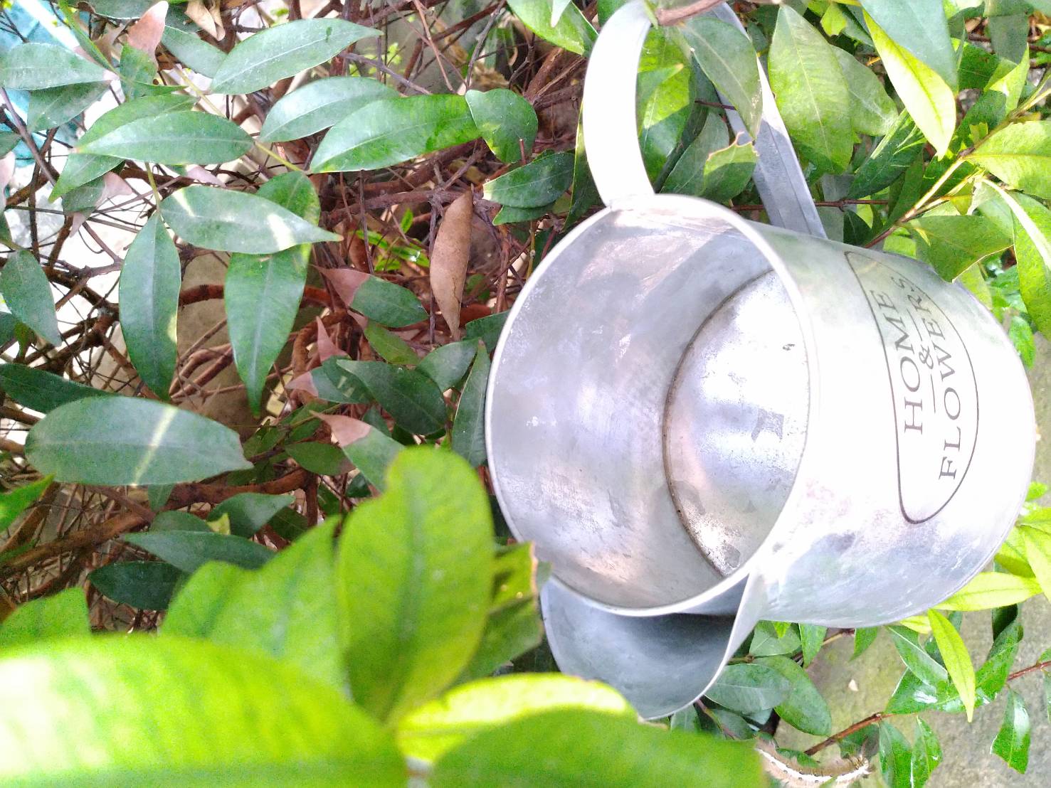 กระถางตกแต่งทรงกระบวย มีหูจับ