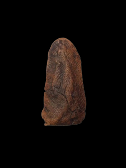 F316 พระรอด