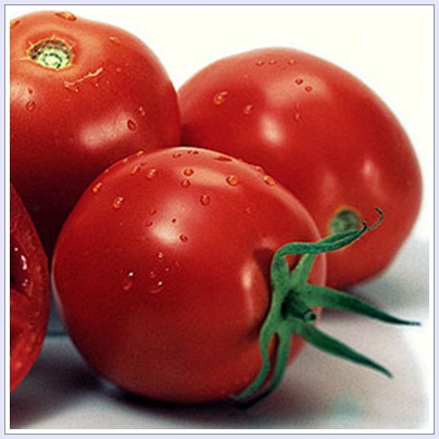 มะเขือเทศลูกท้อ เจียใต๋