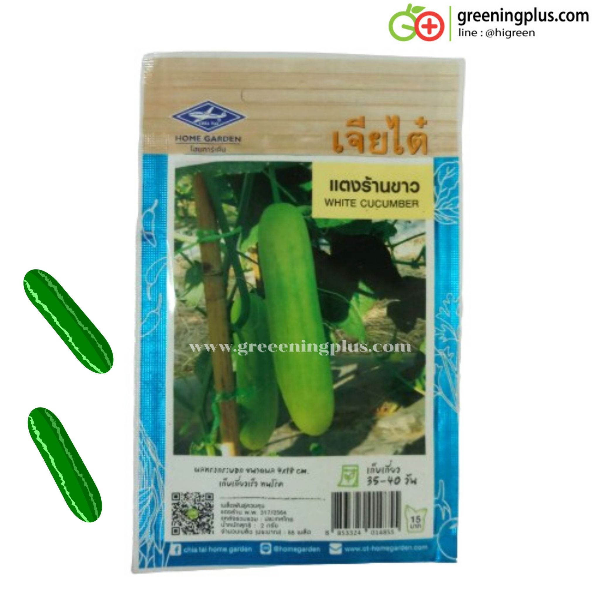 แตงร้านขาว WHITE CUCUMBER เจียไต๋