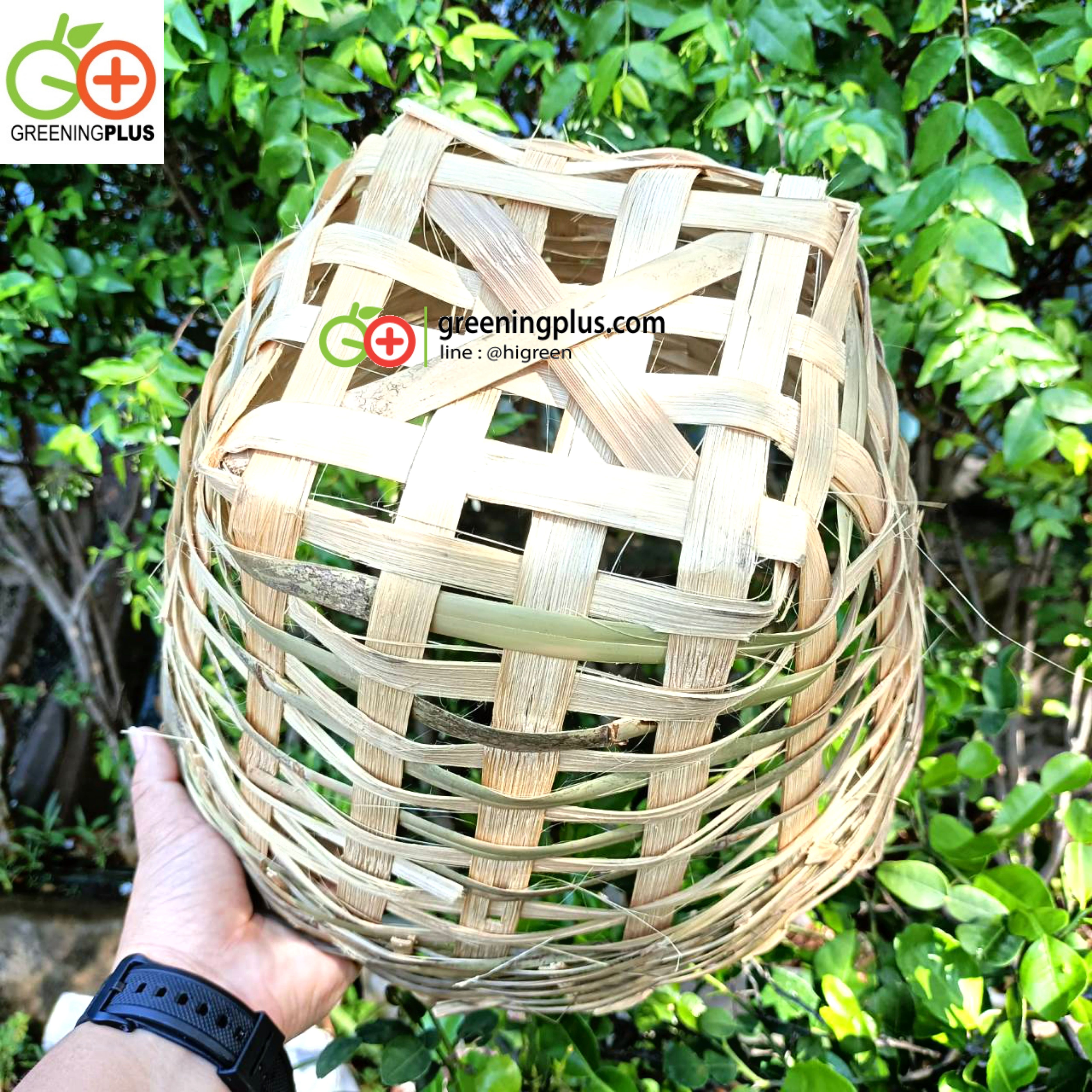 เข่งไม้ไผ่ (จำนวน 1 ใบ)