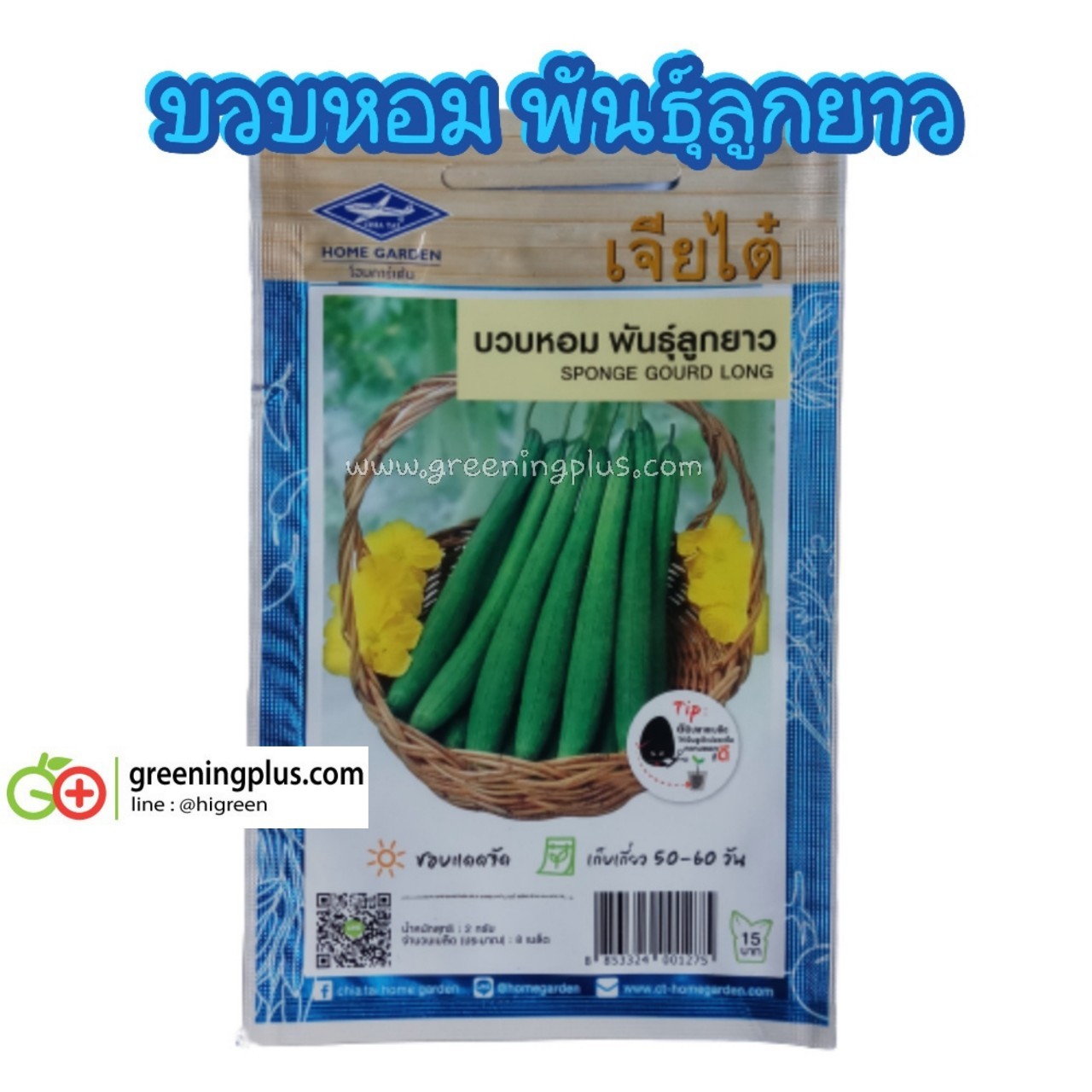 บวบหอม พันธุ์ลูกยาว (sponge gourd long) เจียไต๋