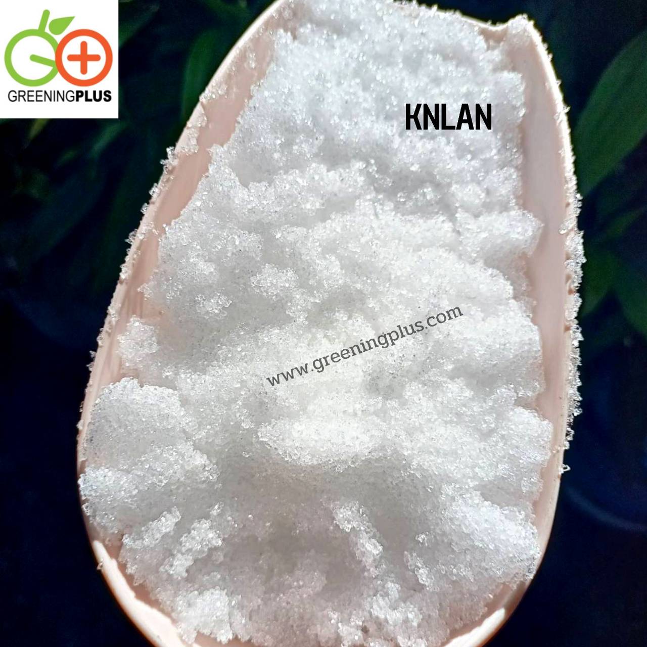 แคลเซียมไนเตรด (CaNO3) 1000 กรัม ยี่ห้อ KNLAN