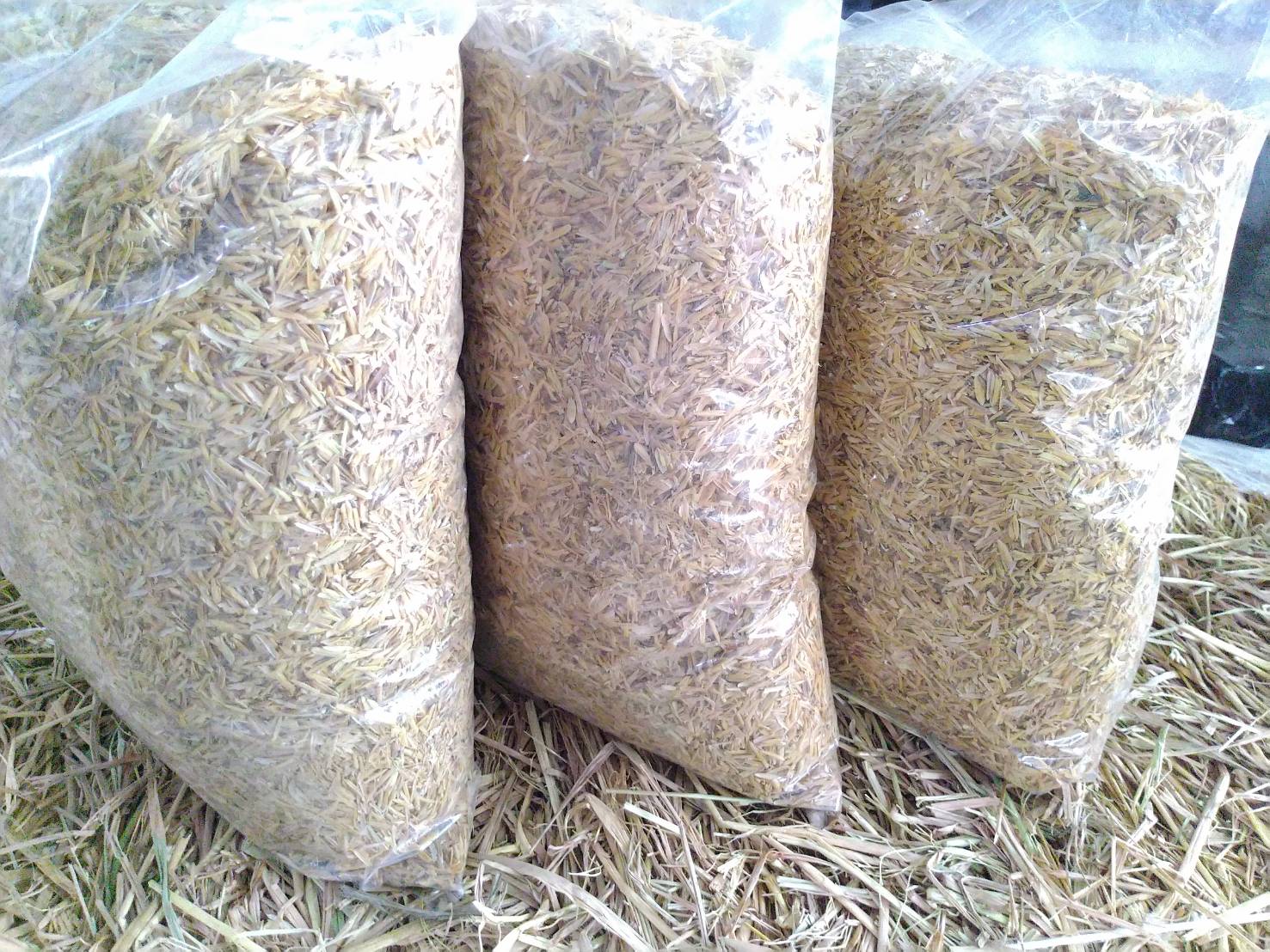 แกลบดิบ ขนาด 5 ลิตร. จำนวน 3 ถุง