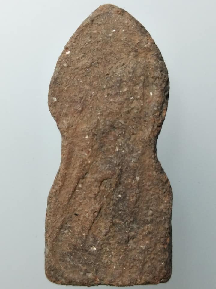 D300 พระนาคปรกเนื้อดิน