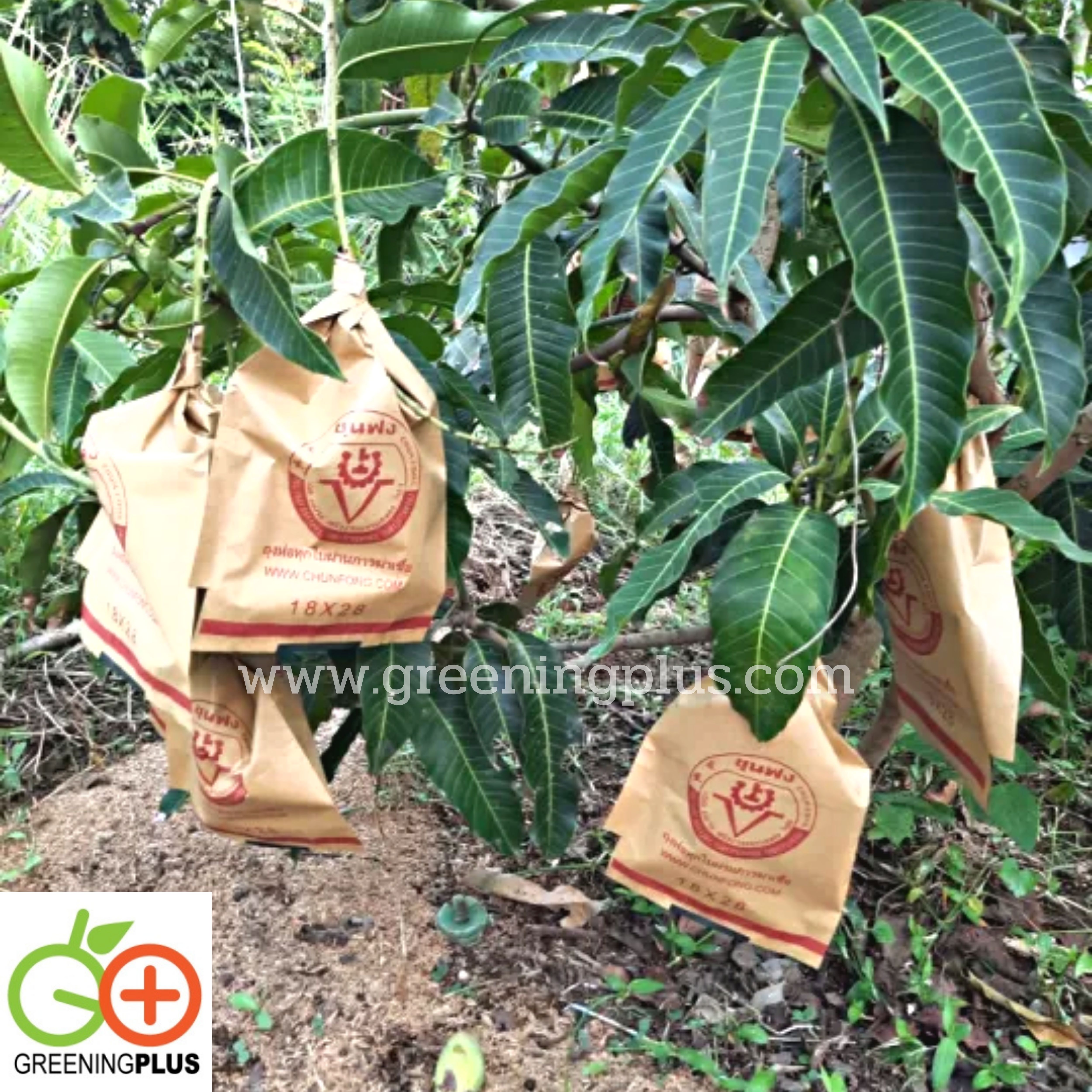 ถุงกระดาษคาร์บอน ขนาด18x28ซม. 2000ใบ/ลัง