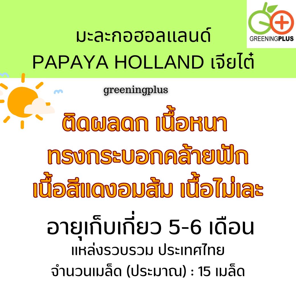 มะละกอฮอลแลนด์ PAPAYA HOLLAND เจียไต๋