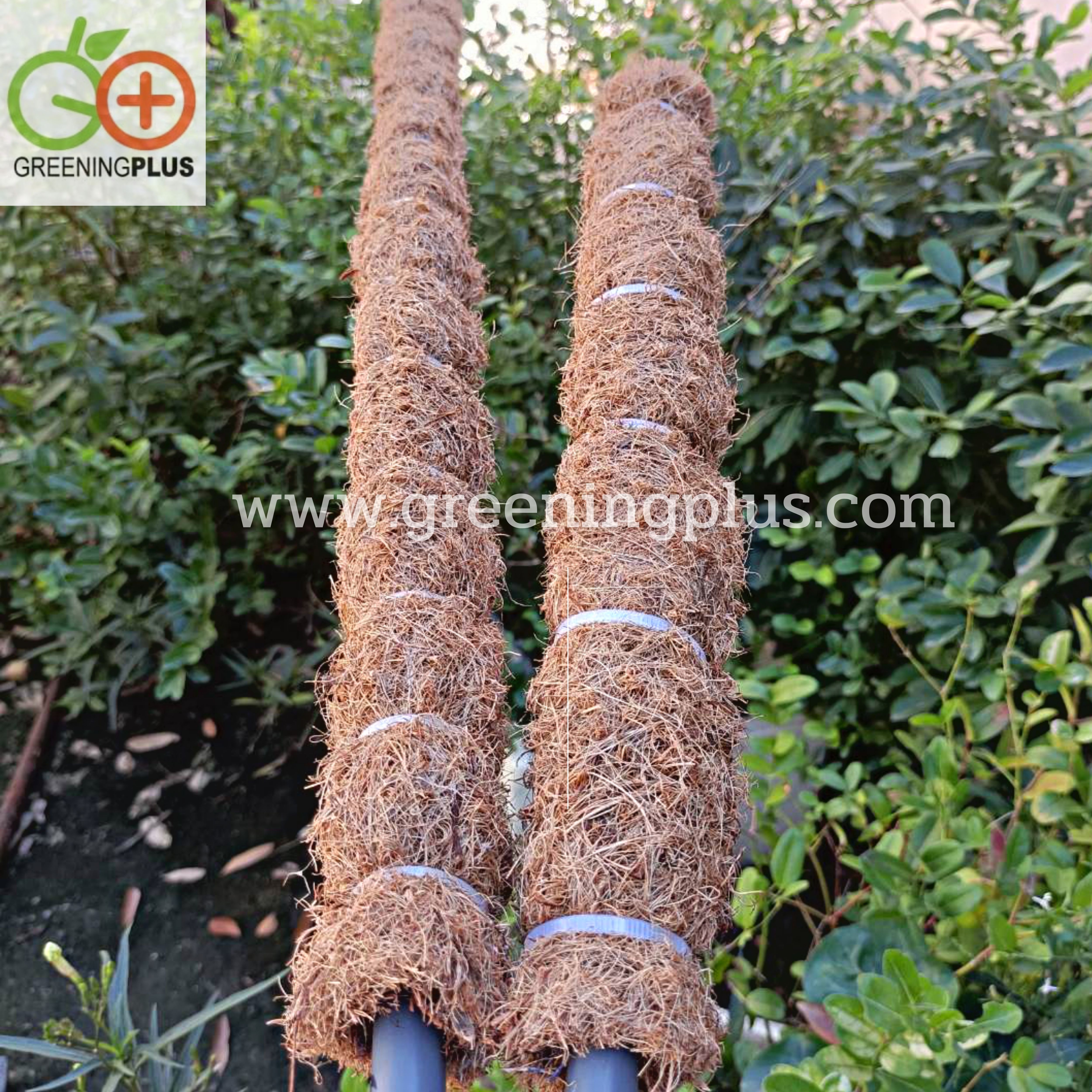 หลักไม้เลื้อยใยมะพร้าว จำนวน 1 อัน