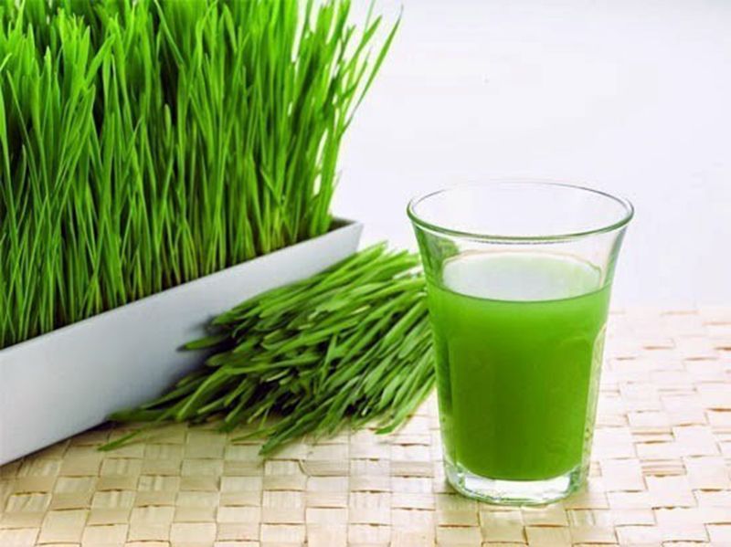 ข้าวสาลี Wheatgrass Seed 100กรัม