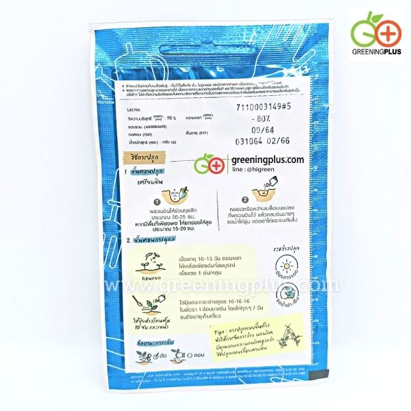 มะระจีน (Bitter Gourd) เจียไต๋