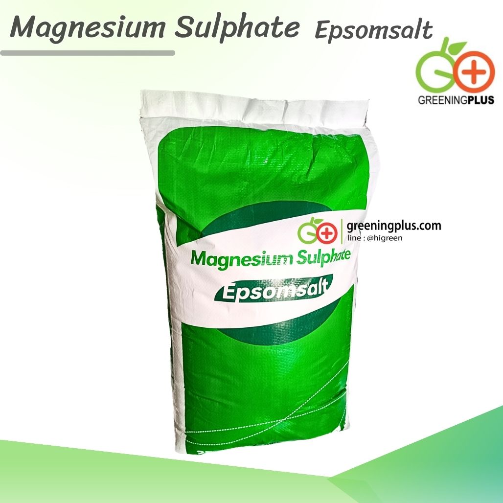 แมกนีเซียมซัลเฟต (MgSO4) Epsomsalt 1000 กรัม