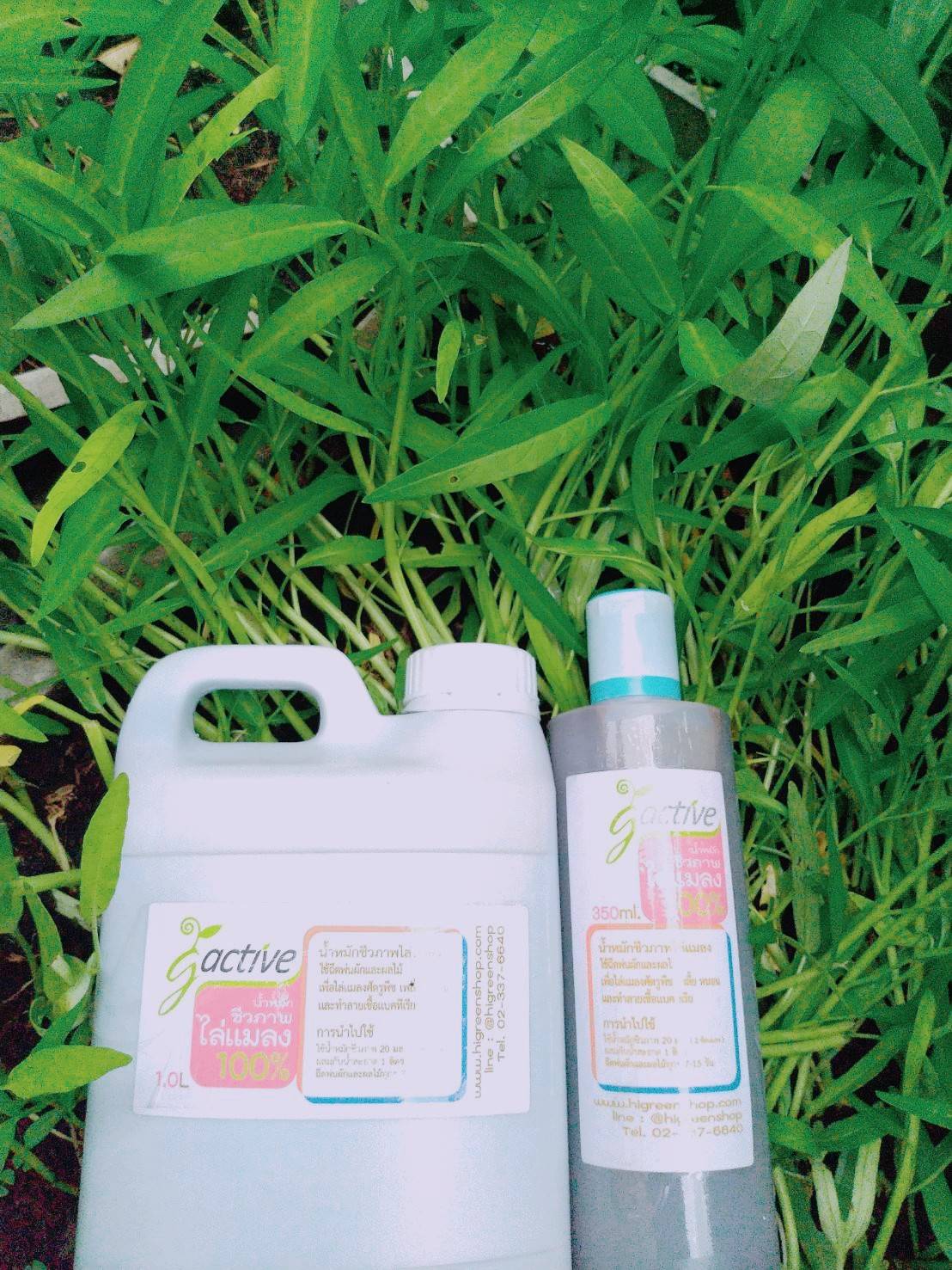 น้ำหมักจุลินทรีย์ไล่แมลง ขนาด 350 มล.