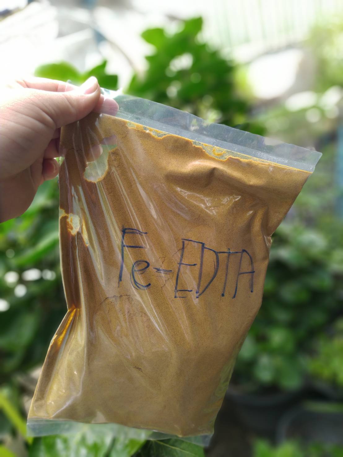 เหล็กคีเลต (Fe - EDTA) 1000 กรัม
