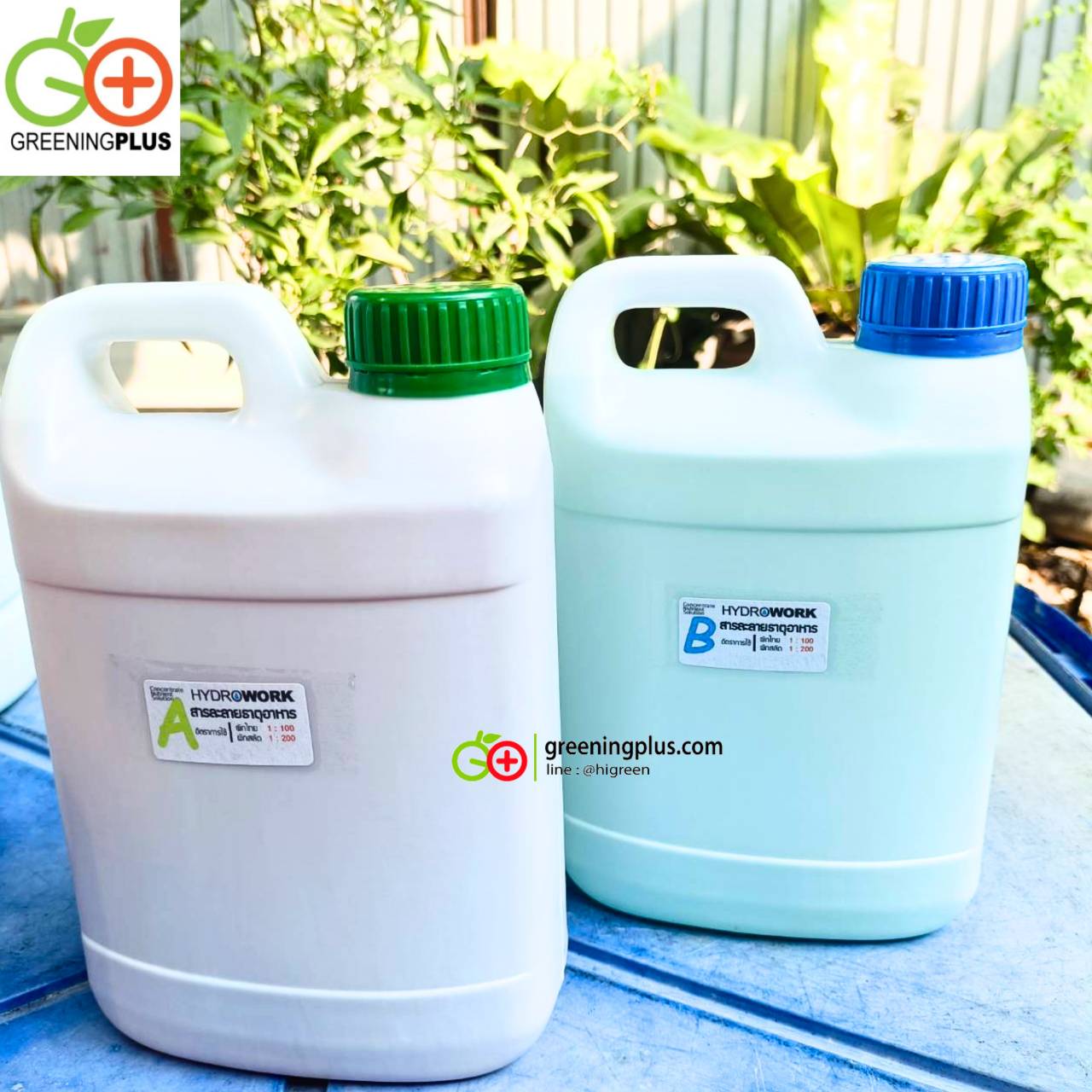 ปุ๋ยน้ำ A/B ขนาด 5 คู่ลิตร (จำนวน 1 ชุด)