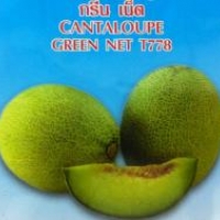 เมล่อน GREEN NET 10 เมล็ด