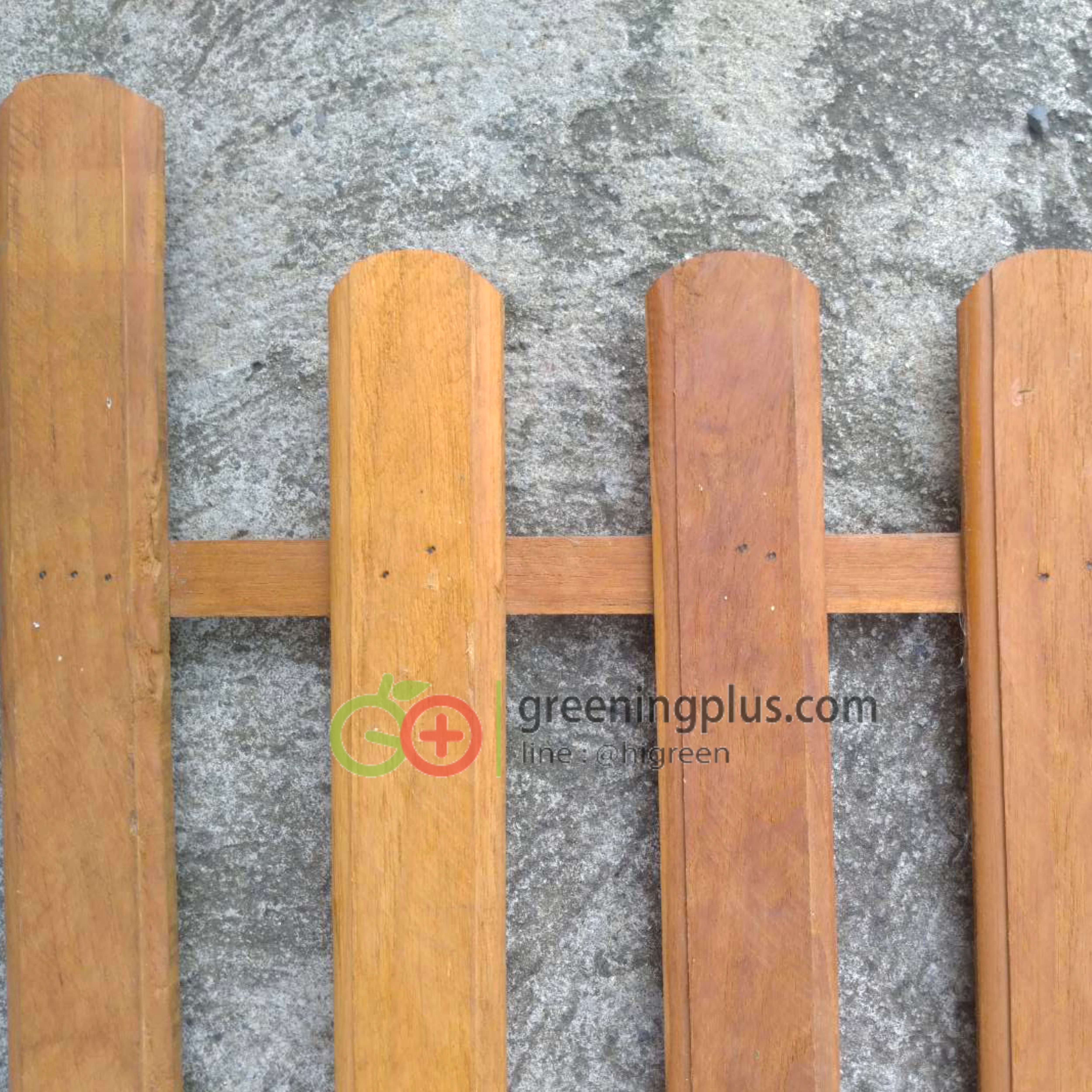 ไม้รั้ว ไม้ตกแต่งสวน