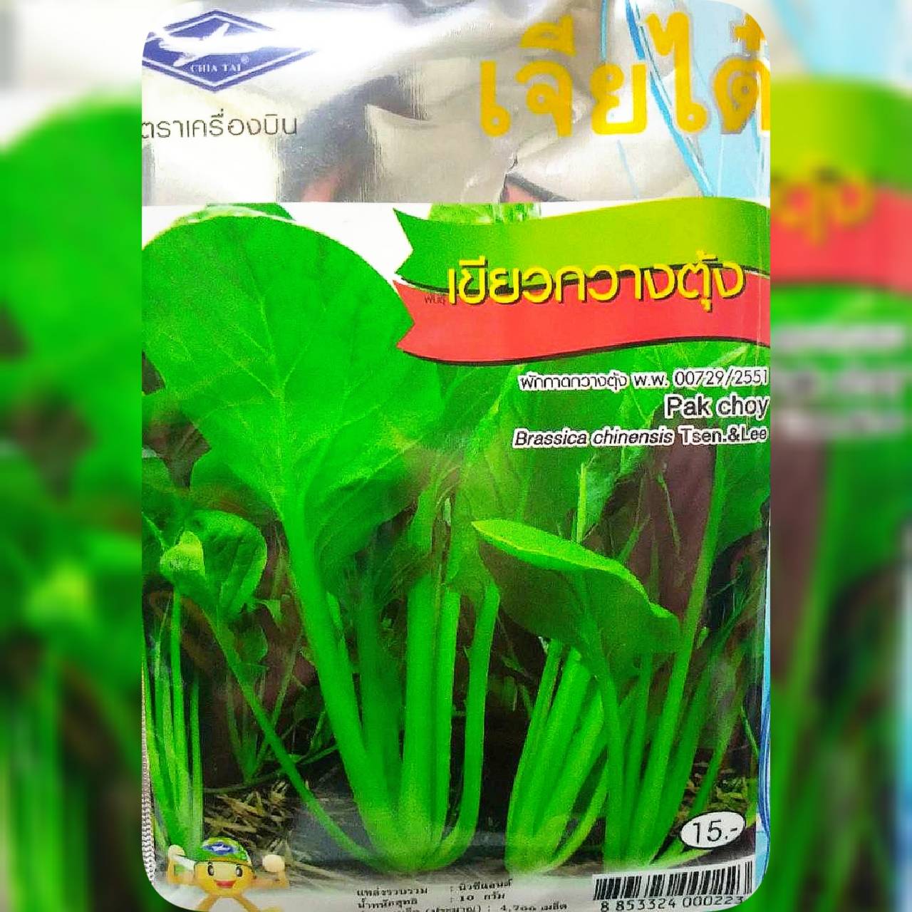 กวางตุ้งเขียว (Pak Choy) เจียใต๋