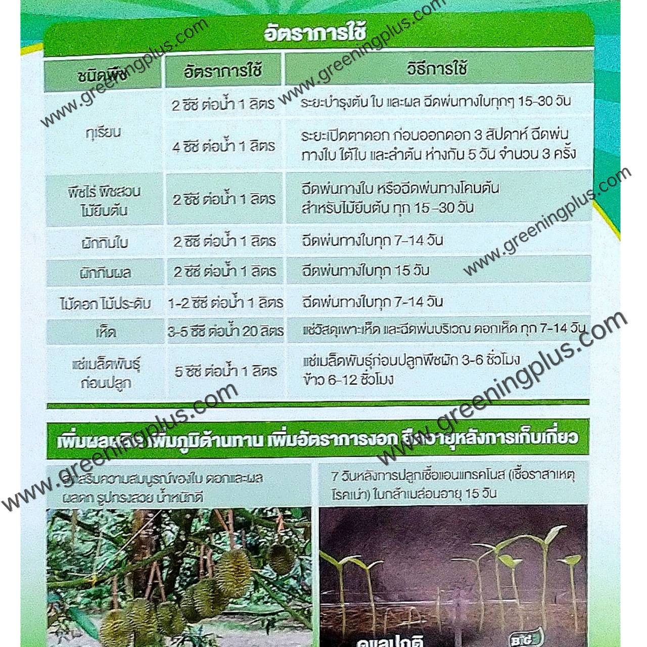 วัคซีนพืช BIG กระตุ้นภูมิสู้โรคลดตุ้นทุนเพิ่มผลผลิต ขนาด 100 ml.