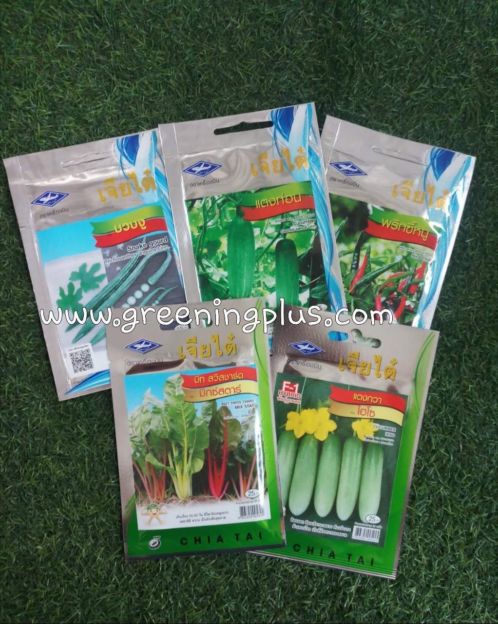 แตงกวา ไฮโซ (CUCUMBER HISO) เจียไต๋