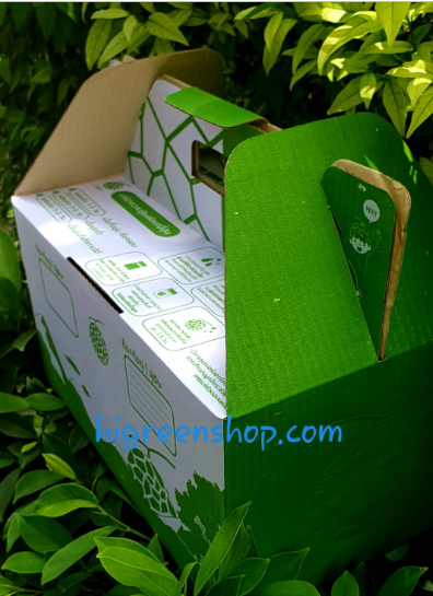 กล่องเมล่อนขนาด 2ลูก พร้อมถาดรอง