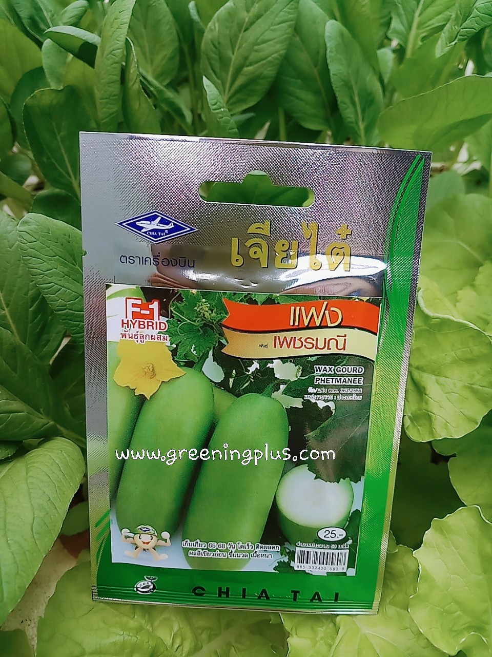 แฟง เพชรมณี เจียใต๋ F1