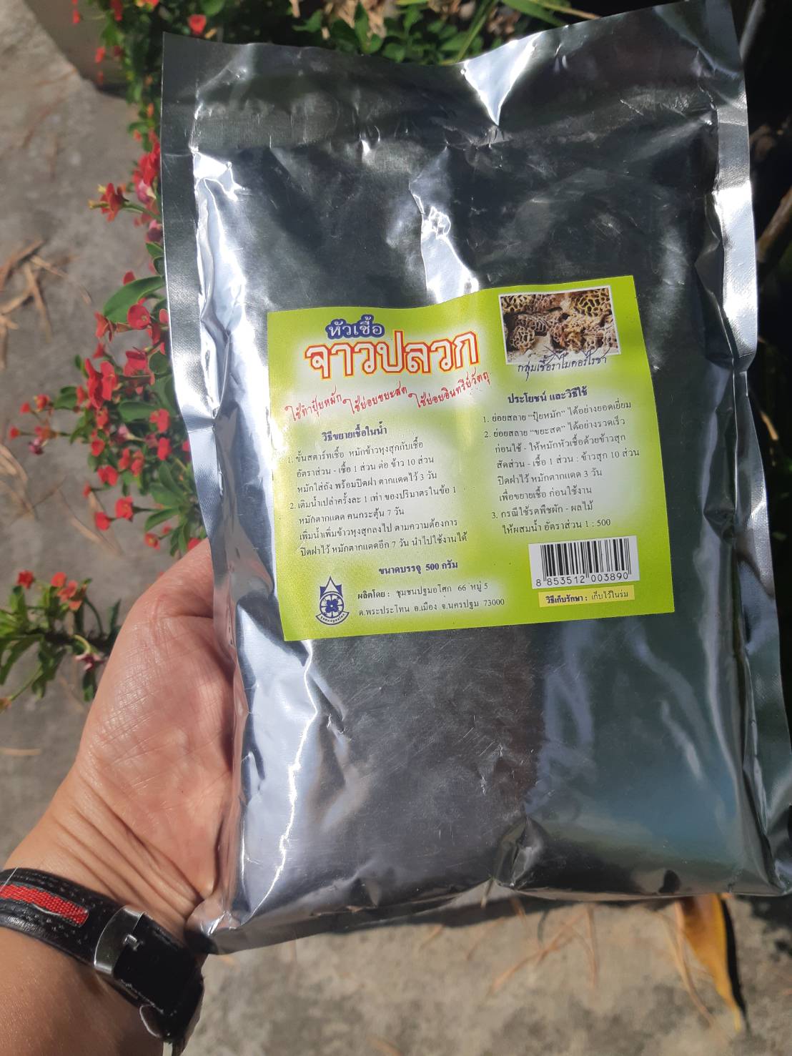 หัวเชื้อจาวปลวกปฐมฯ500กรัม