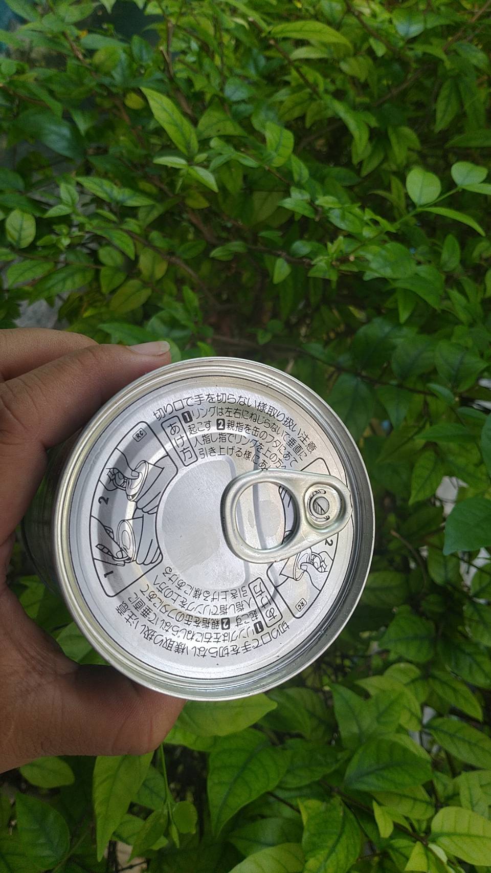 ผักโขมไวท์ลีฟ (Amaranth) 100 กรัม เพื่อนเกษตร (พรีออเดอร์)