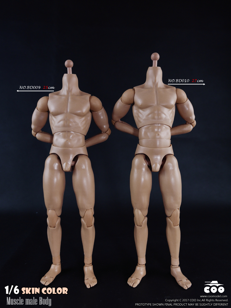 COOMODEL BD009 / BD010 Standard & High Standard Muscle Arm Body