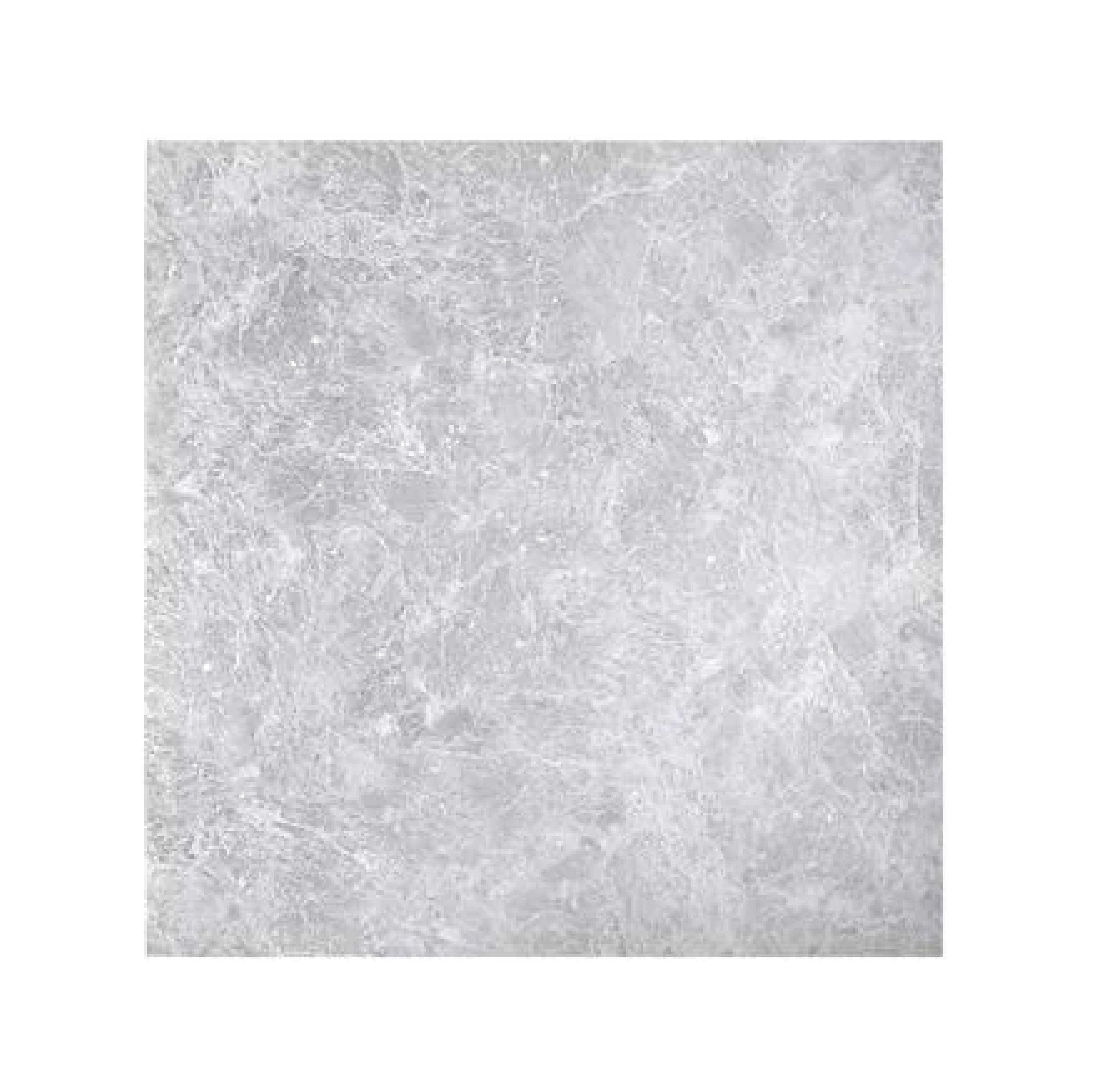 กระเบื้องพื้น DIGITAL COTTO รุ่น ริโอ มาร์เบิล ขนาด 60 x 60 ซม. (กล่อง 4 แผ่น) สีเทา Random