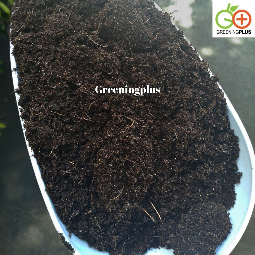 ขุยมะพร้าว ชนิด Treat แล้ว 2 กก./ถุง