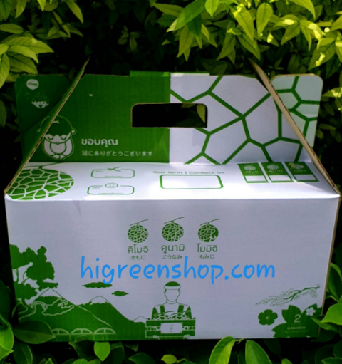 กล่องเมล่อนขนาด 2ลูก พร้อมถาดรอง