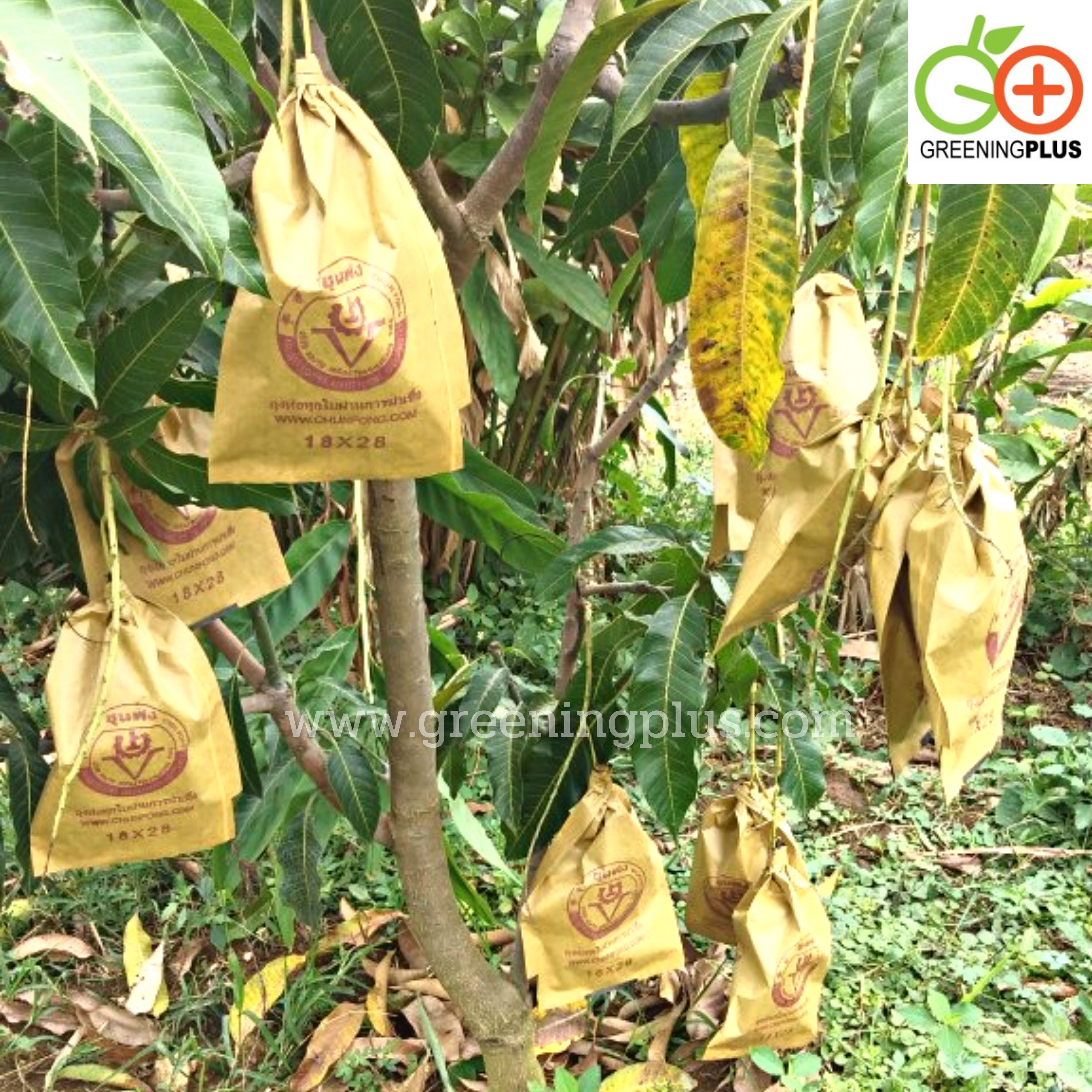 ถุงกระดาษคาร์บอน ขนาด18x28ซม. 2000ใบ/ลัง