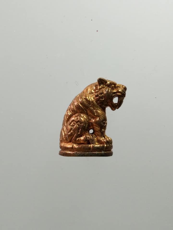 C340 เสือ ไม่ทราบที่