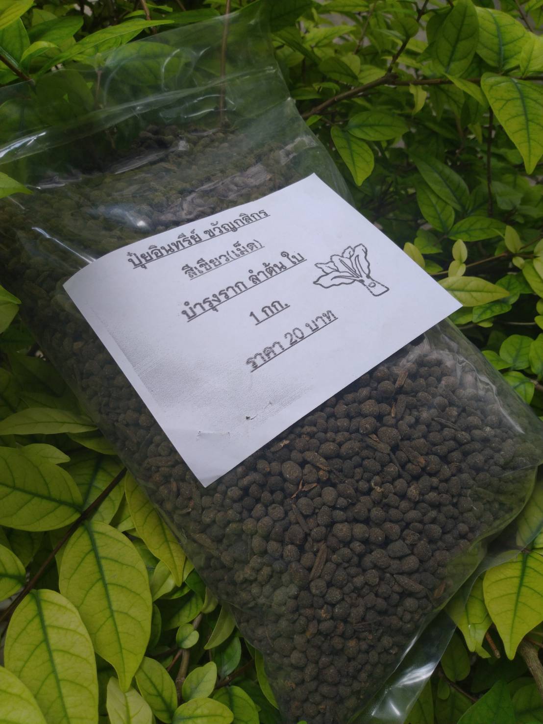 ปุ๋ยอินทรีย์แบบเม็ด (สีเขียว) ขนาด 1 กก." ขวัญกสิกร "บำรุงลำต้นและใบ