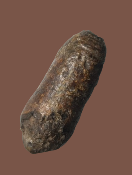 H305 คตดักแด้ ดักแด้หินทนสิทธ์