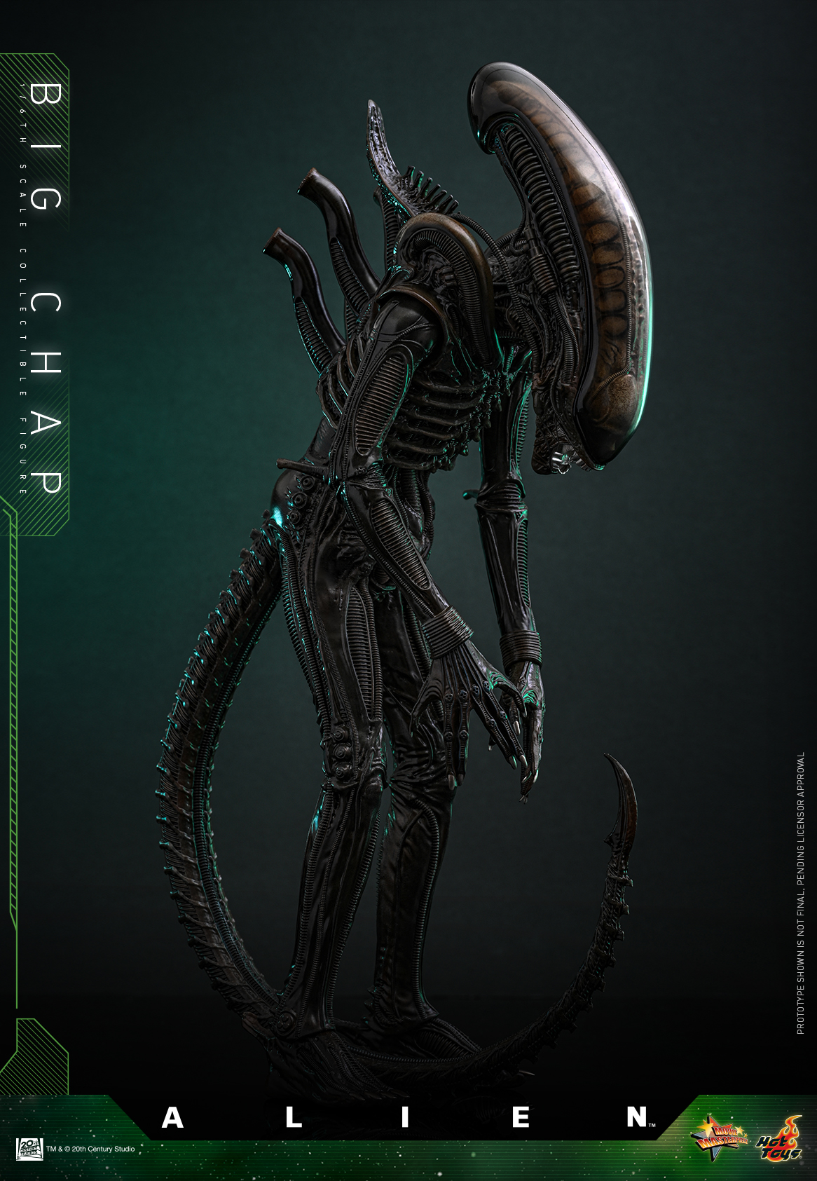 25/08/2568 Hot Toys MMS826 Alien - Big Chap