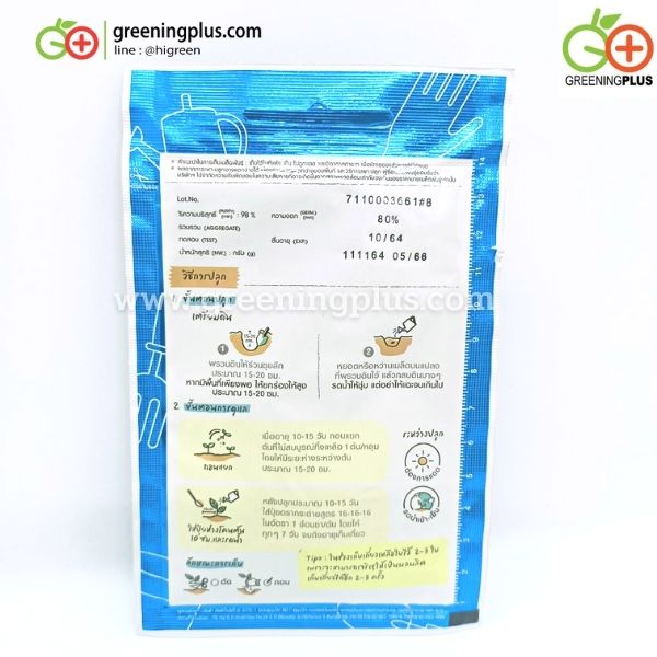 ผักบุ้งจีน เรียวไผ่ chinese convolvulus เจียไต๋