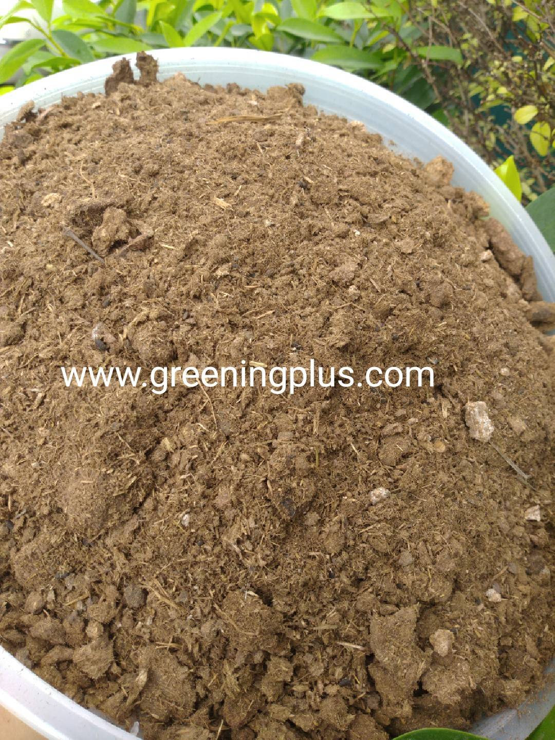 อาหลีปุ๋ยคอกแท้ 100% จำนวน 1 กระสอบ