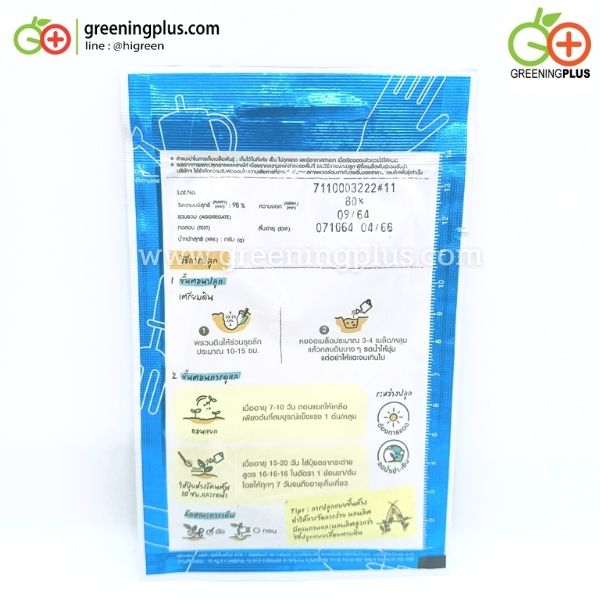 ถั่วฝักยาวเมล็ดขาว (Yard long bean) เจียใต๋