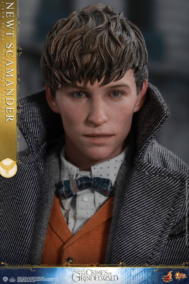 Hot Toys MMS512 FANTASTIC BEASTS: THE CRIMES OF GRINDELWALD - NEWT SCAMANDER