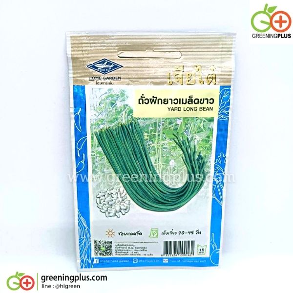 ถั่วฝักยาวเมล็ดขาว (Yard long bean) เจียใต๋