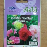 ดอกฮอลลี่ฮ็อค ดอกซ้อน Hollyhock เจียใต๋