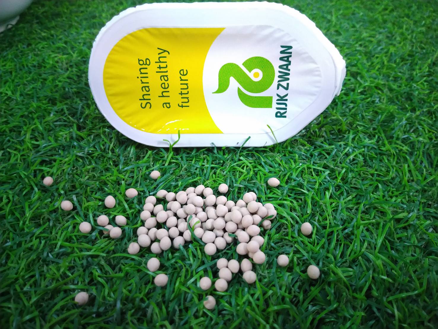 green butterhead (RAX) Dutch 1000 pills(เคลือบ)