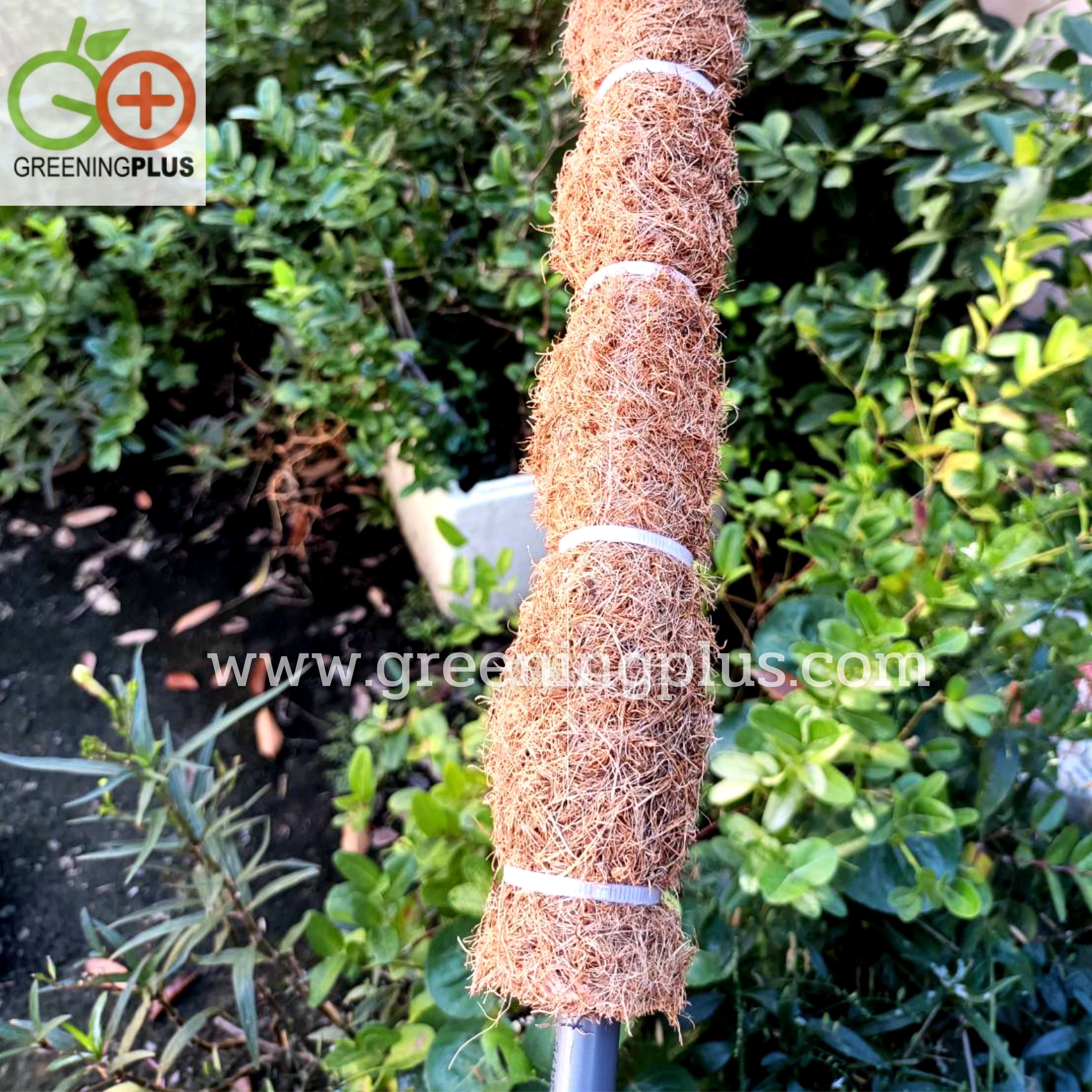 หลักไม้เลื้อยใยมะพร้าว จำนวน 1 อัน